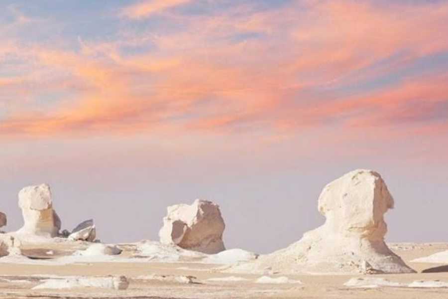 Bahariya Oasis White Desert Adventure